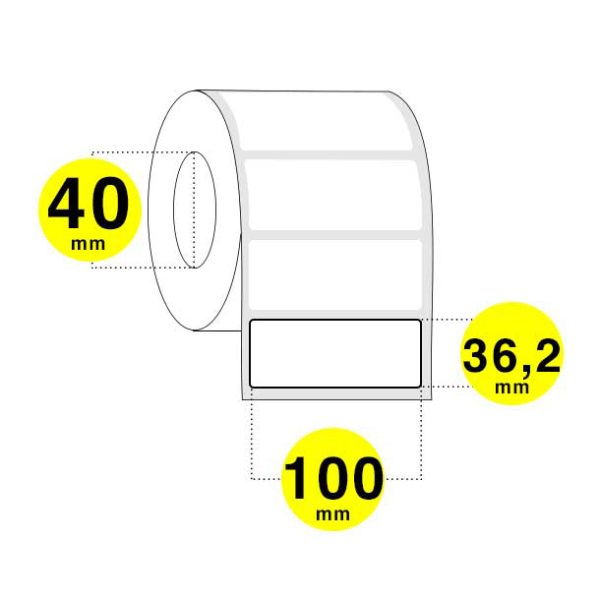 Rotoli etichette adesive 100x36 mm carta termica diretta anima 40 - Confezione da 6 rotoli x 1100 etichette